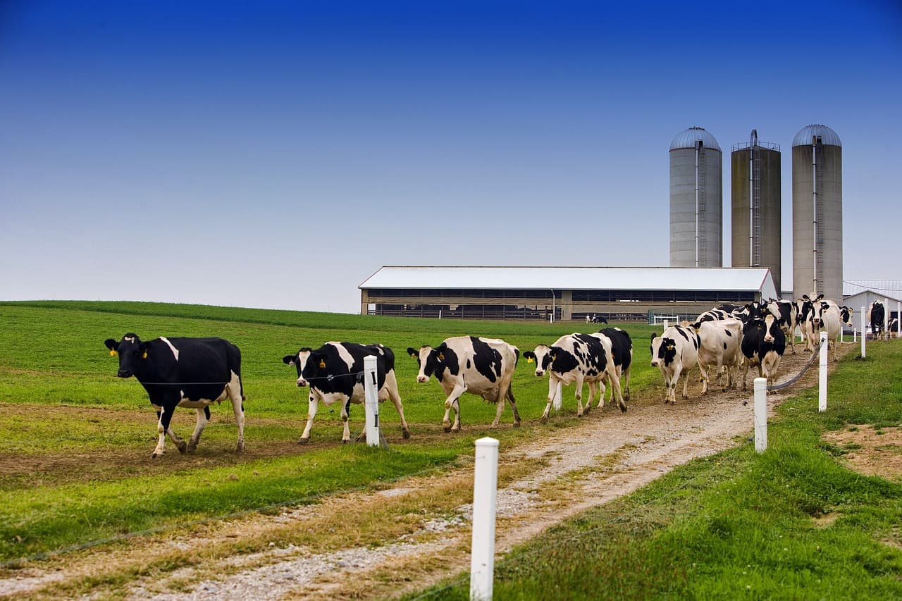 Knight Industrial: A Trusted Name in Dairy Equipment Supplies